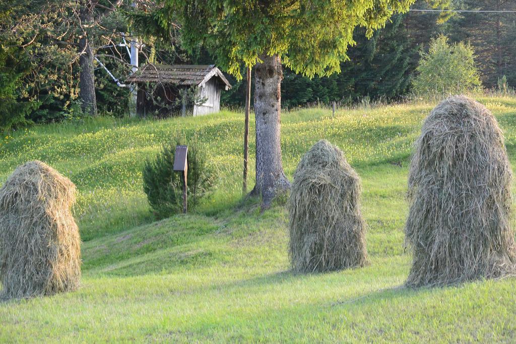 Gaestehaus Doering Mittenwald Ngoại thất bức ảnh
